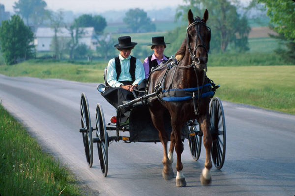 amish week off