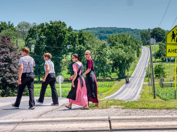 amish young men