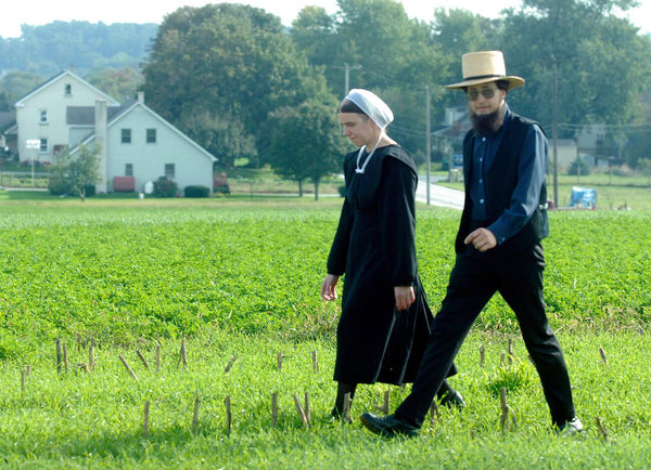 an amish courtship