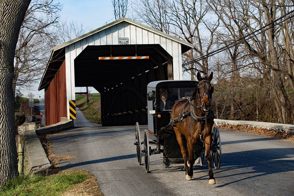 are amish anabaptist