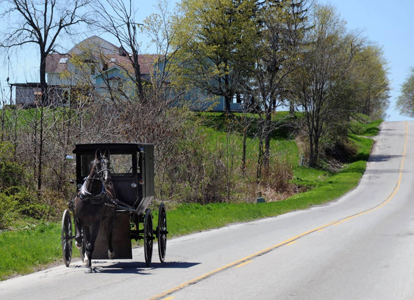 are amish and pennsylvania dutch the same