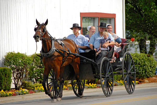 are amish people traditional economy