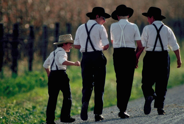 are the amish a cult