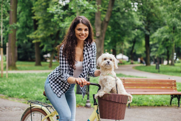 best dog basket for bike 