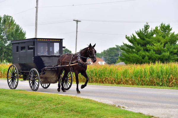 can amish people accept gifts from english