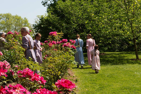 can you take pictures of amish