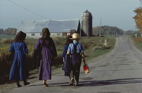 common amish girl names