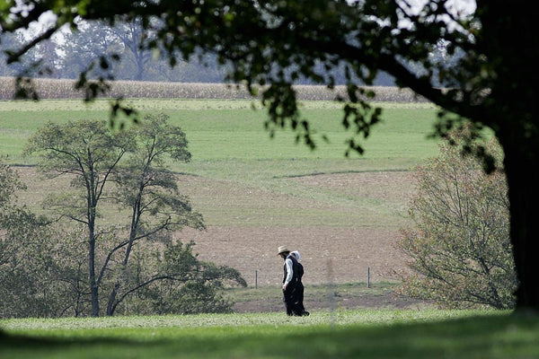 courting amish style