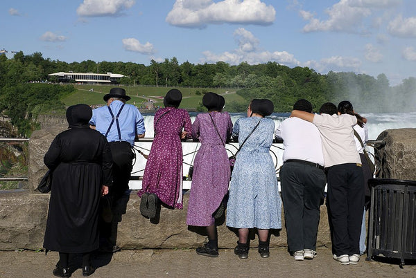 did amish get stimulus checks