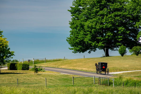 did the amish get stimulus checks