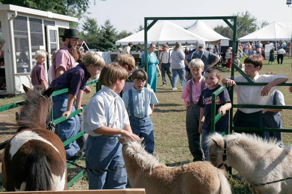 difference between amish and mennonites