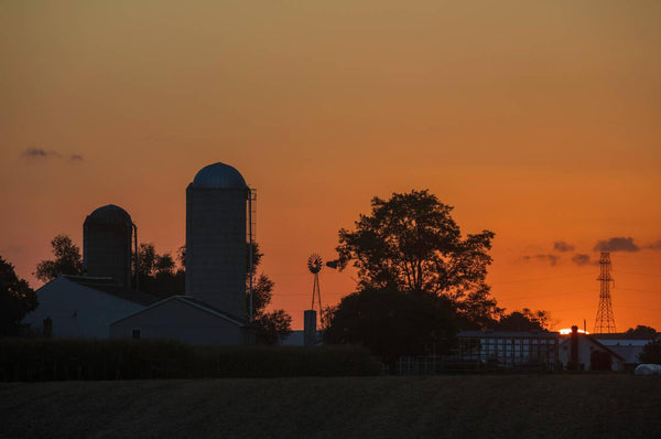 difference between amish and pennsylvania dutch