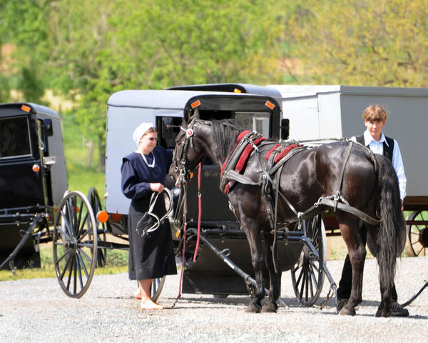 difference between quakers and amish