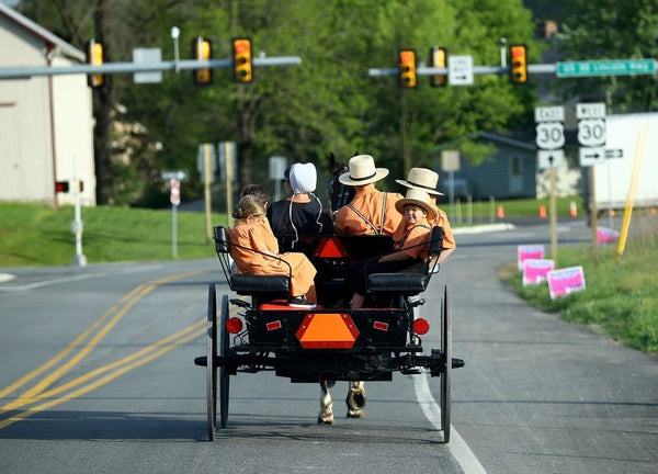 different types of amish