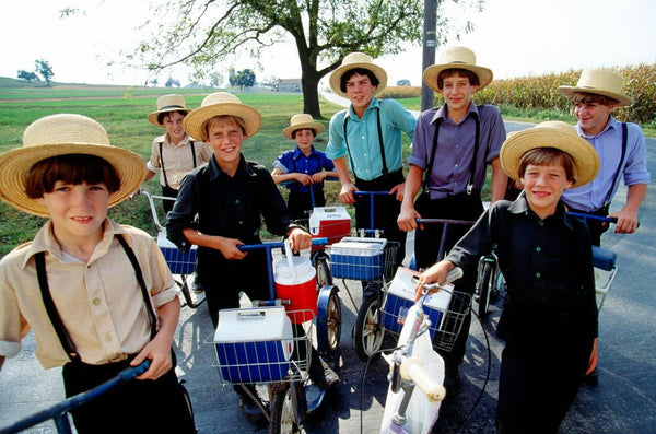 do amish children go to school