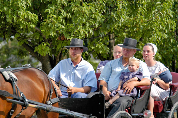 do amish divorce