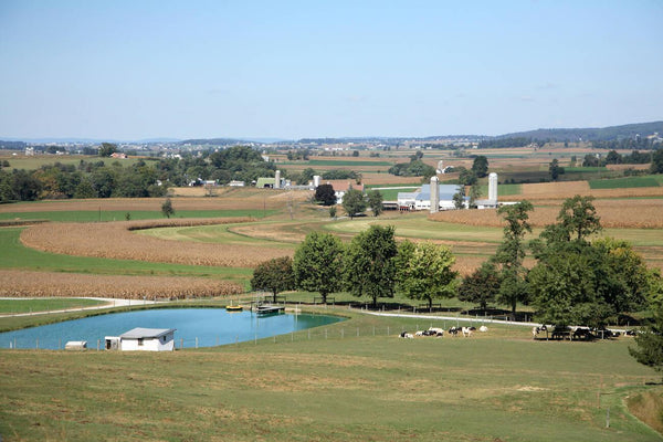 do amish go swimming