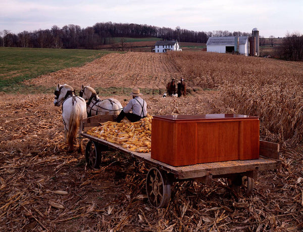 do amish have money