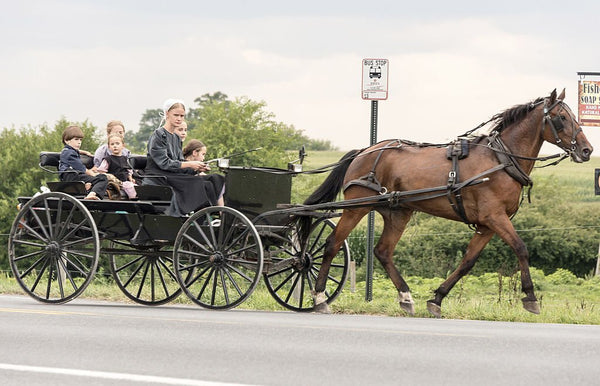 do amish have multiple wives