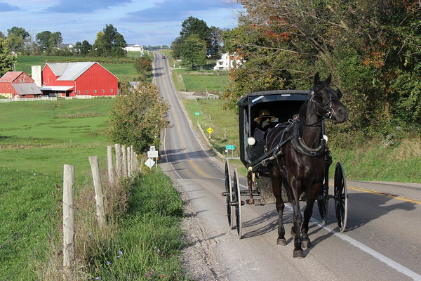 do amish have ssn numbers