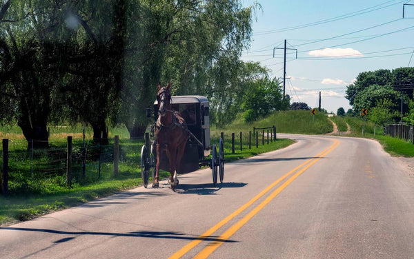 do amish people travel