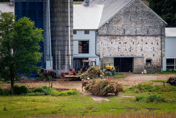 do amish use power tools