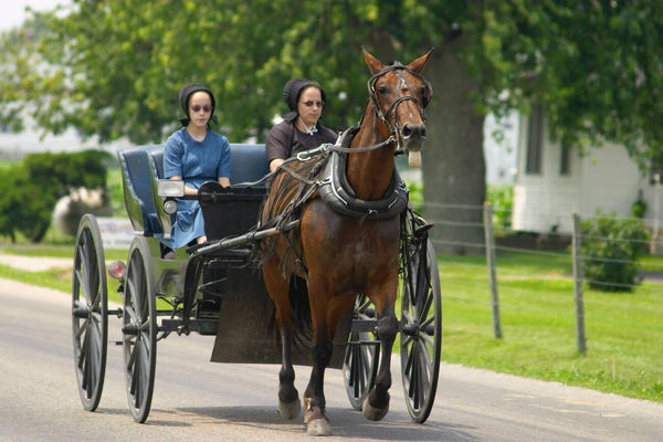 do amish women wear buttons