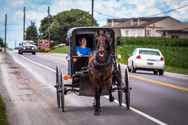 do the amish celebrate birthdays