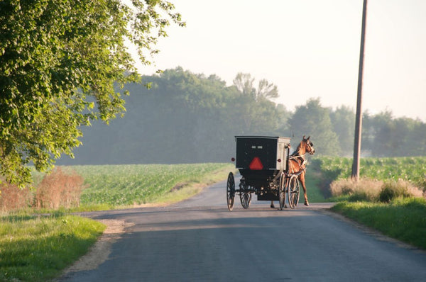 do the amish hunt