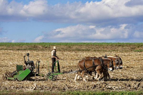 do the amish use power tools