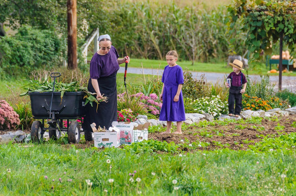 do the amish wear shoes