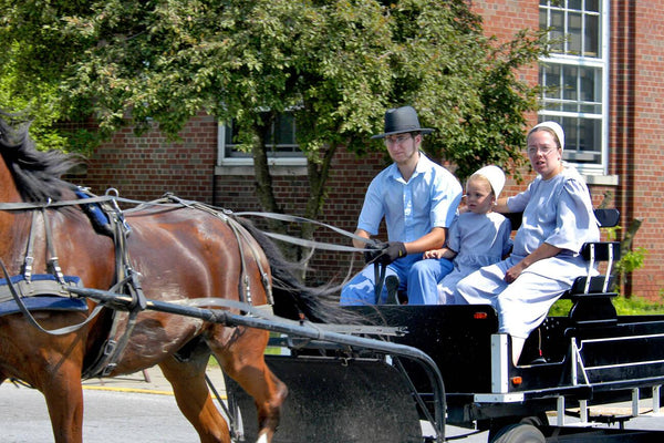 do the amish wear wedding rings