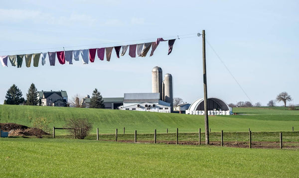 does amish people cleaning tonic work