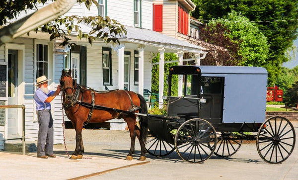 examples of the amish material culture