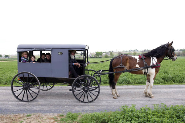 how do amish people live