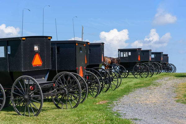 how do amish travel