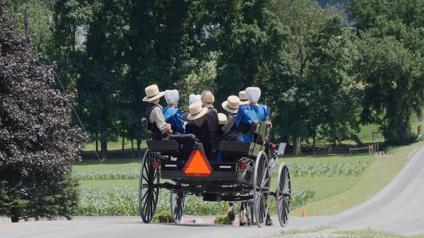 how do you know if an amish man is married