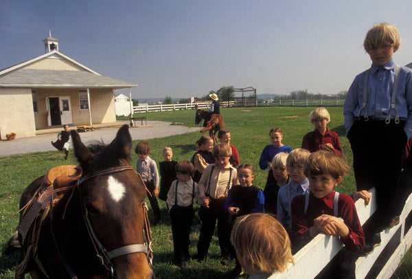 information about Amish schools