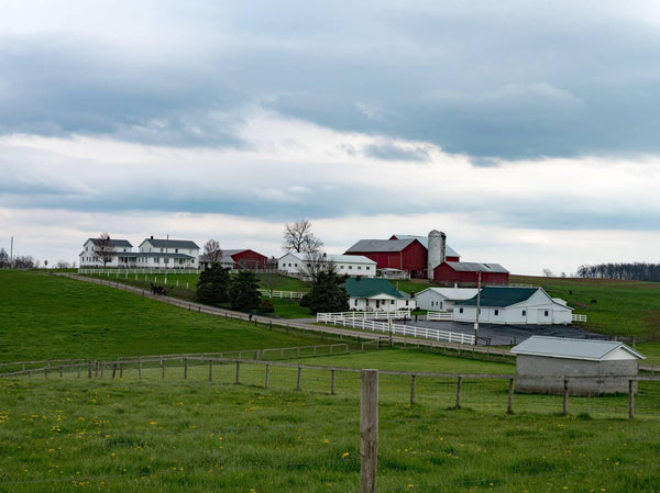 largest amish community in the us