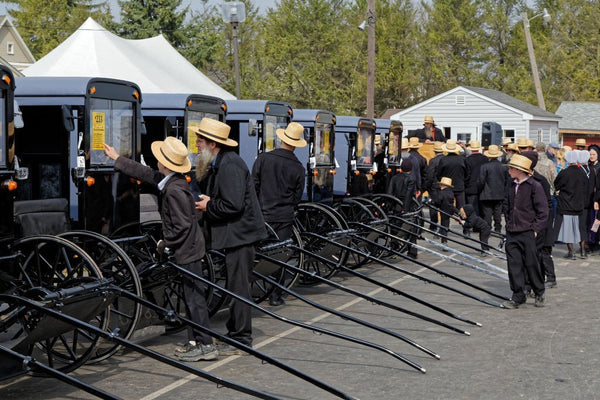 male amish names