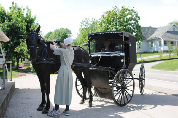 material culture of amish people