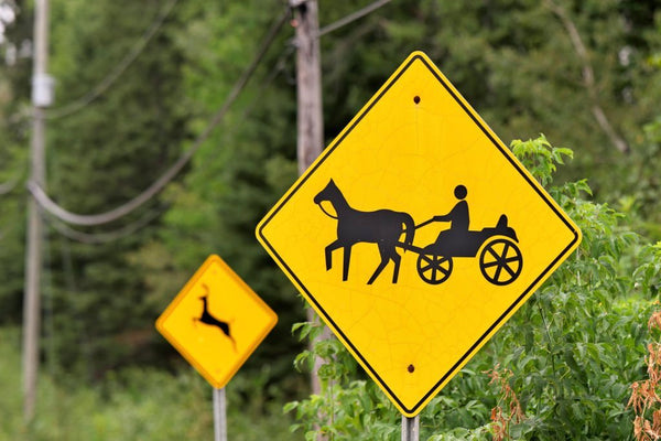 mennonite buggy and amish people