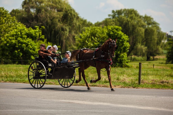 mennonites and amish difference