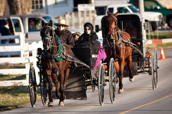 old order amish religion