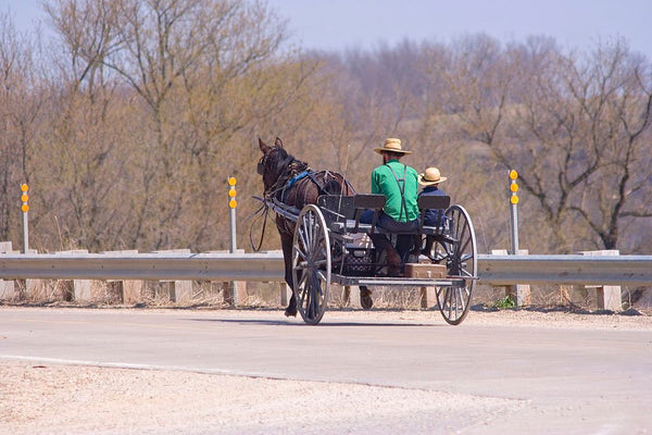 ordnung amish definition