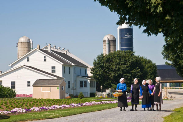 religion old order amish