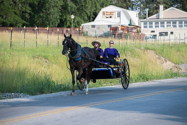 rules amish women live by