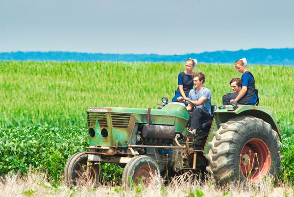 rules amish women must follow