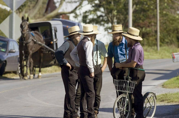 short amish beard