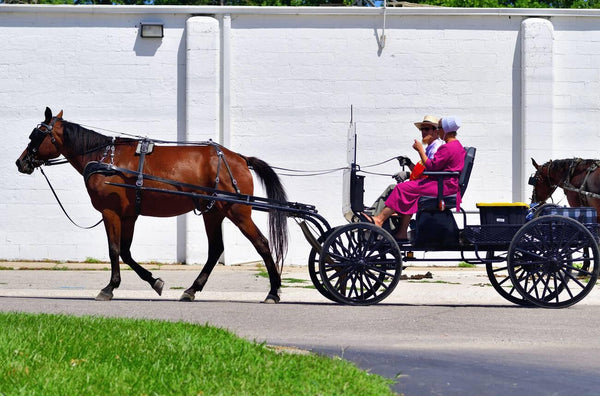 states with amish communities